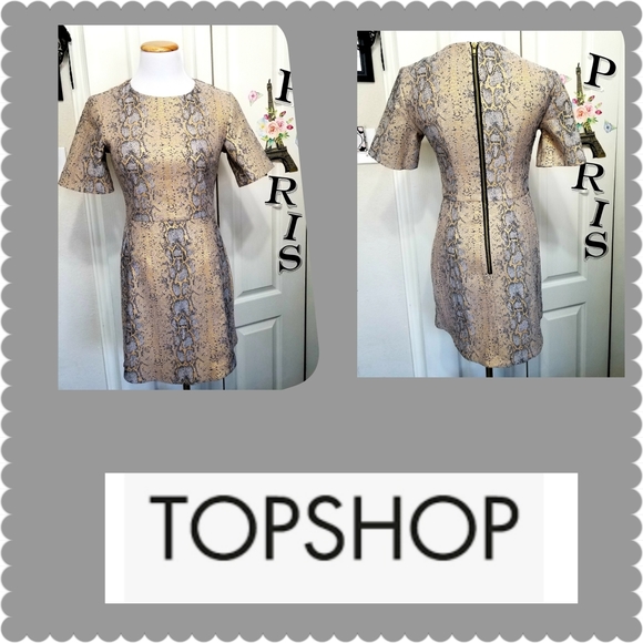 🎉Host Pick 🎉TOP SHOP Snake Skin Gold Metallic Dress size 4 - Picture 3 of 8